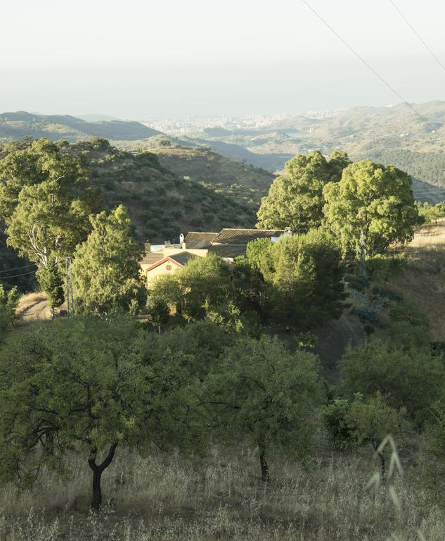Rural Montes Malaga: Lagar Don Sancho 빌라 객실 사진